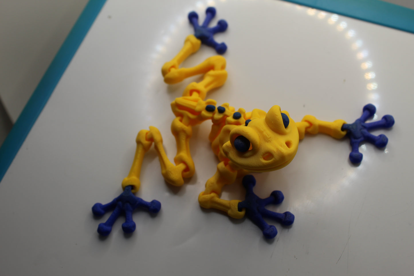 Skeleton Frog Magnet