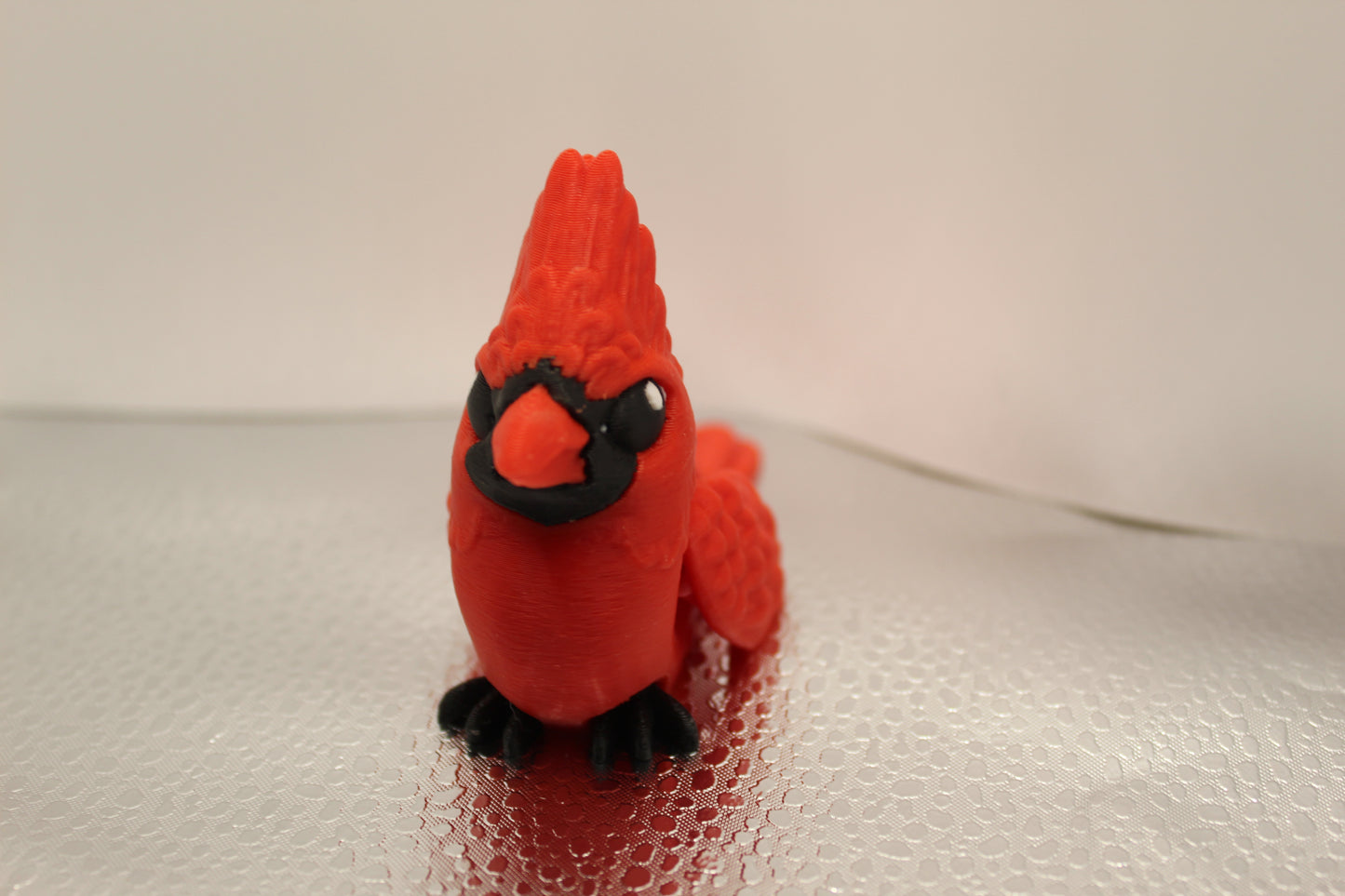 Cardinal Bird