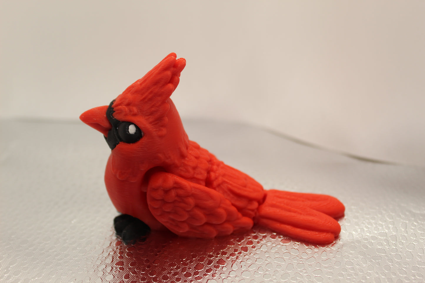 Cardinal Bird