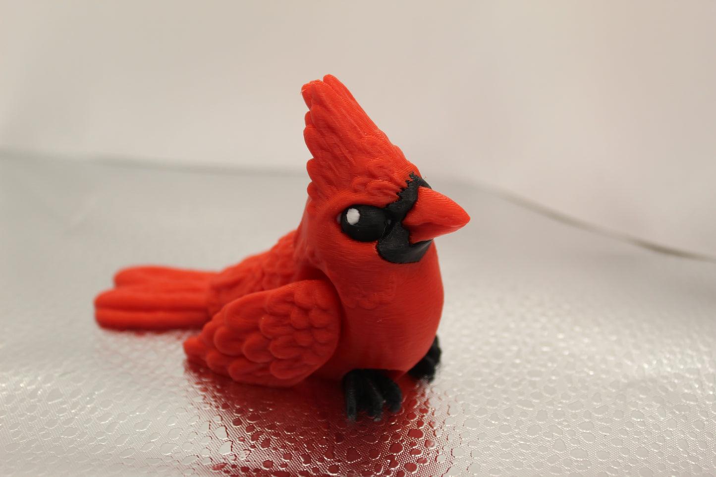 Cardinal Bird