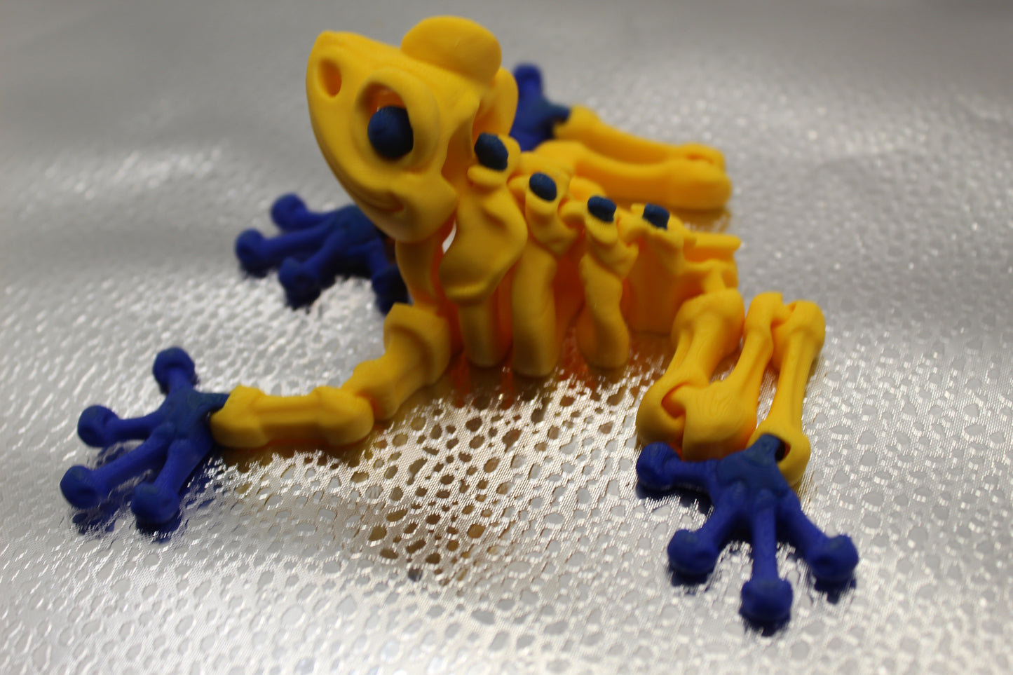 Skeleton Frog Magnet
