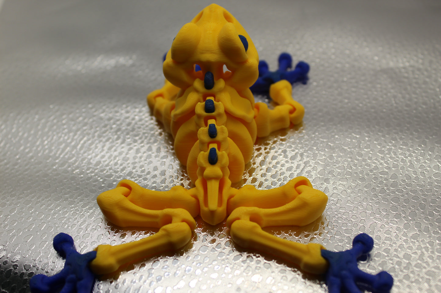 Skeleton Frog Magnet