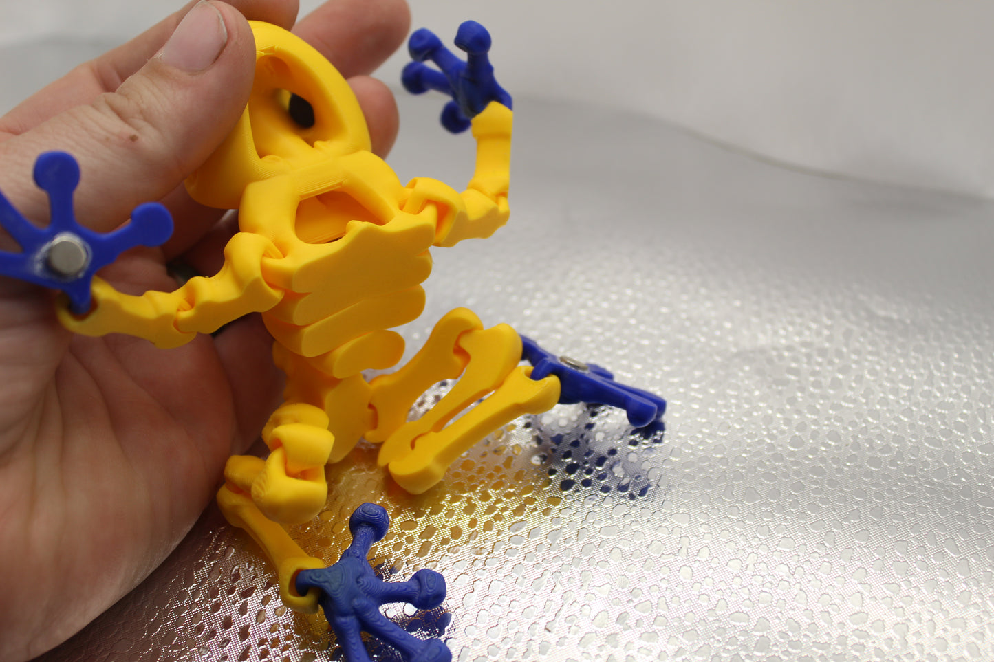 Skeleton Frog Magnet