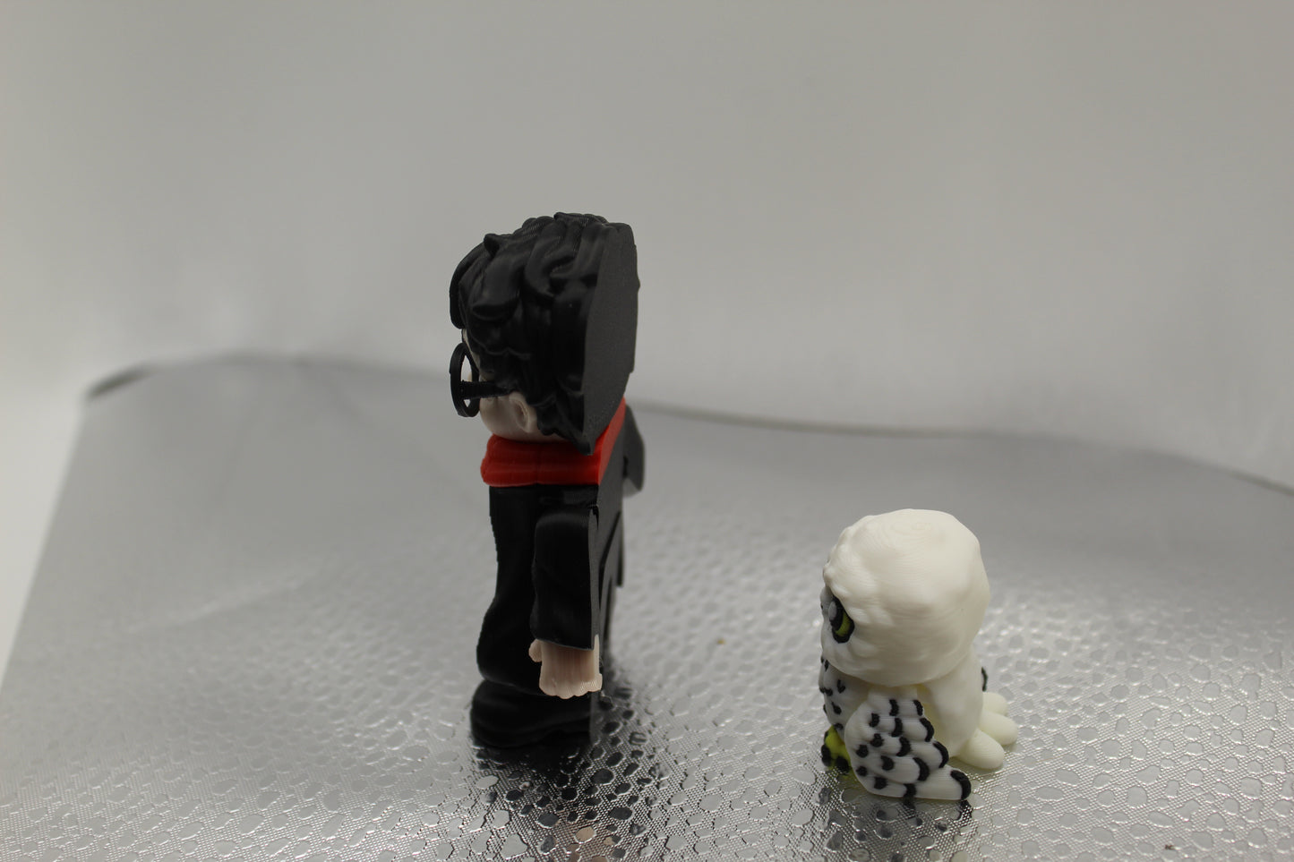 Harry Potter & Hedwig