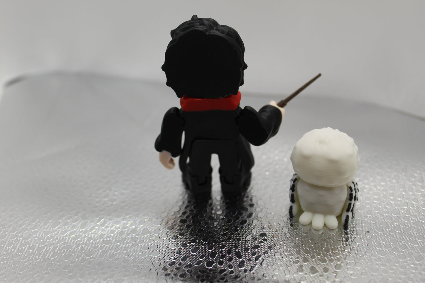 Harry Potter & Hedwig