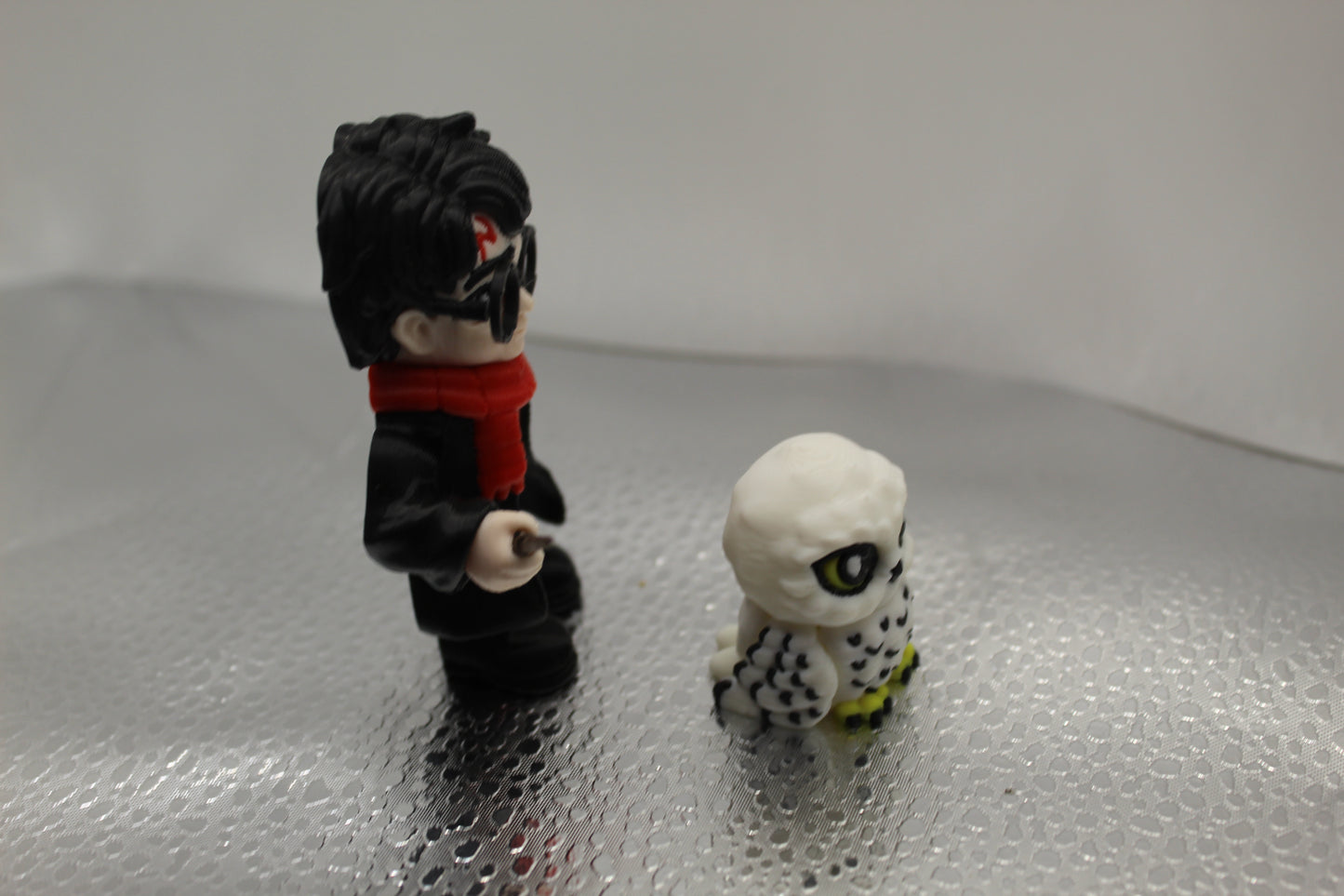 Harry Potter & Hedwig