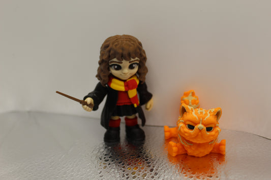 Hermione Granger & Crookshanks
